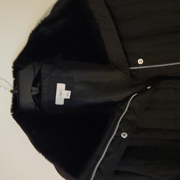 Jacket - Picture 3 of 5